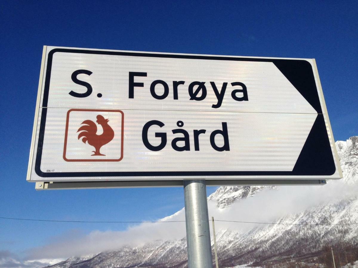 Sondre Foroya Gard Daire Tromsø Dış mekan fotoğraf